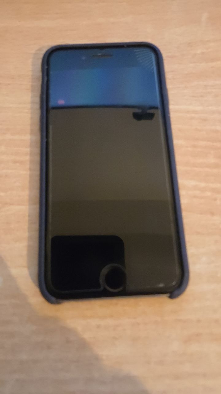 iPhone Apple 16GB - Touch ID - Buen Estado